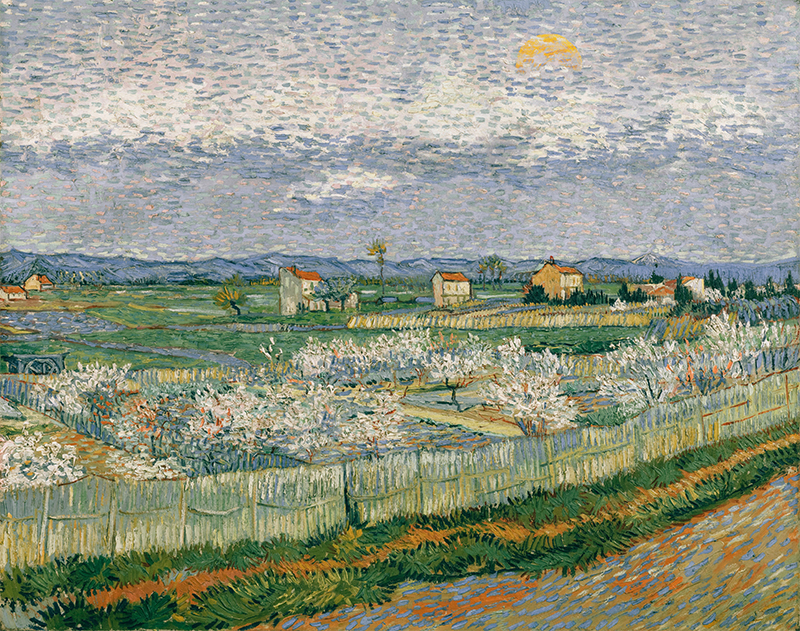 An above the horizon view of blossoming peach trees, fenced off, with houses in a plain in Arles, France with mountains in the background and a cloudy sky with a sun peeking through the clouds. This painting of Peach Trees in Blossom (after van Gogh) features an extension of the message and an addition of a modern, personal touch. Paired with my Sonnet 45, the painting documents the French countryside and mountains bearing some similarities to Japanese art and landscapes, which; as written in a letter to Theo, made Vincent happy and cheerful. My understanding of the message of this piece is to bring furition to dreams, merging beautiful nature with rigid human dwellings, what is wanted and needed with what is desired/sought after and what familiar/current. In this conclusion of the method making process, I seek to after illustrating the bridge to the future, in the earlier painting, set the scene for a new opportunity to come.